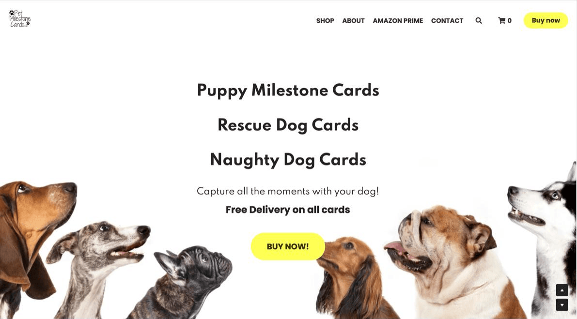 網站標題 網站標題